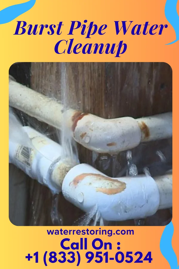 Burst Pipe Water Cleanup in Lamar, MO