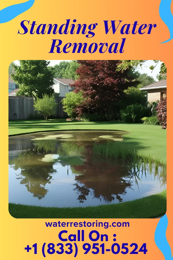 Standing Water Removal in Lamar, MO